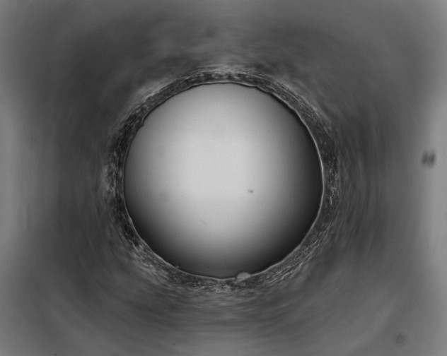 X0000097991207200804021001