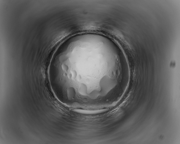 X0000097991209200804021001