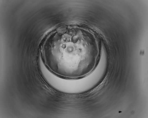 X0000097991210200804021001