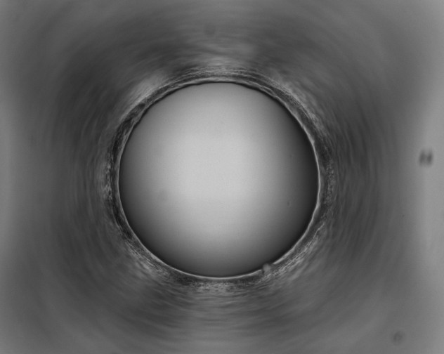 X0000097991211200804021001