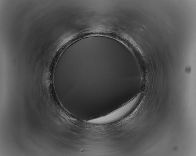 X0000097991213200804021001