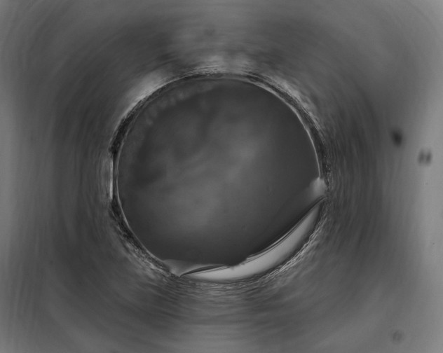 X0000097991219200804021001
