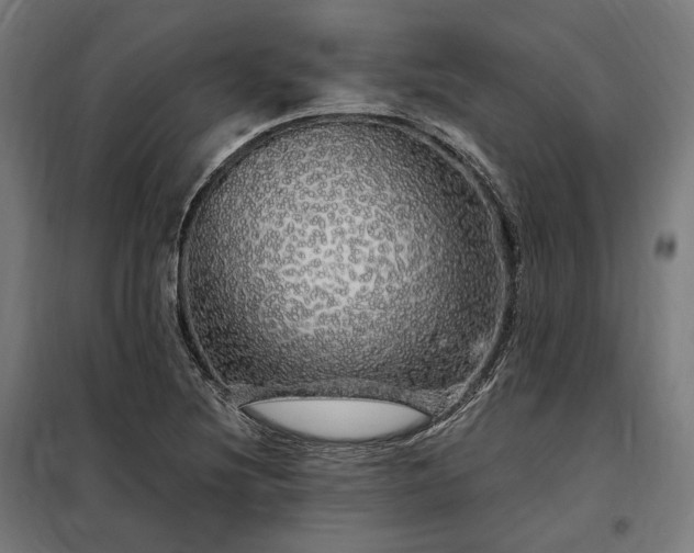 X0000097991220200804021001