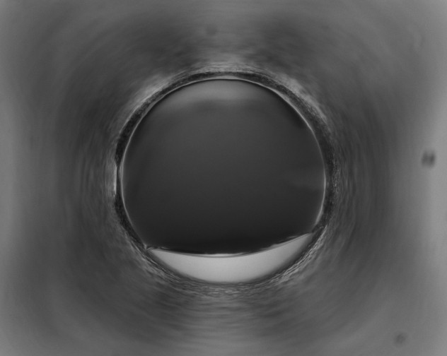 X0000097991221200804021001