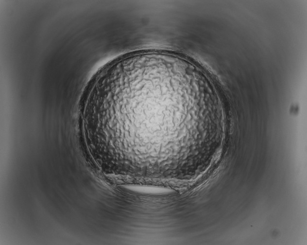 X0000097991222200804021001