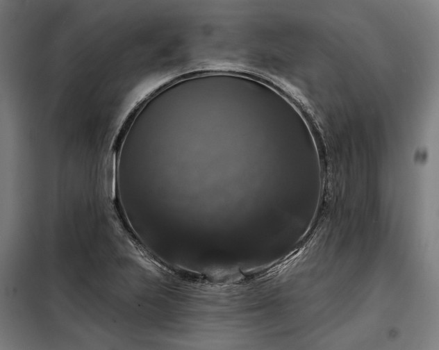 X0000097991223200804021001