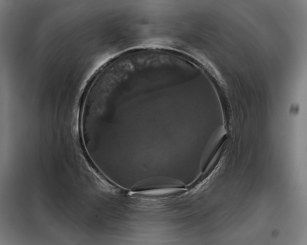 X0000097991224200804021001