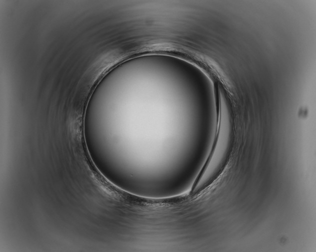 X0000097991225200804021001