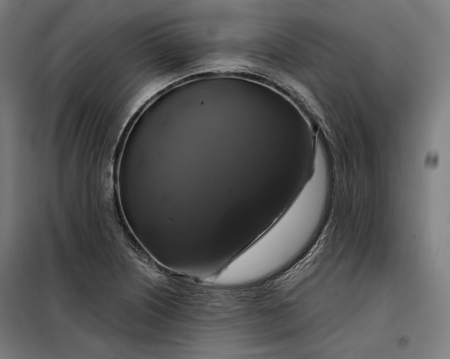 X0000097991226200804021001