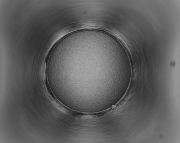 X0000097991227200804021001