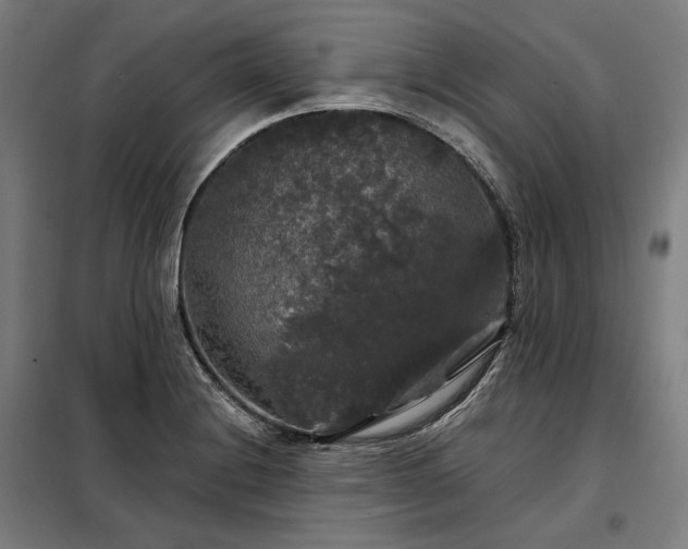 X0000097991228200804021001