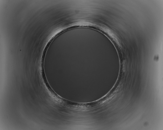 X0000097991229200804021001