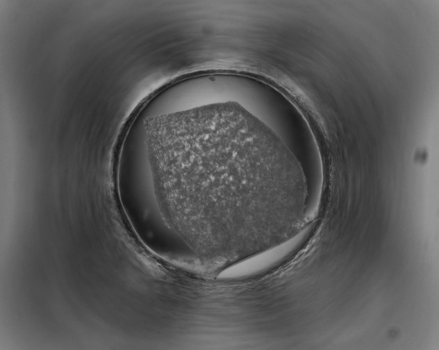 X0000097991230200804021001
