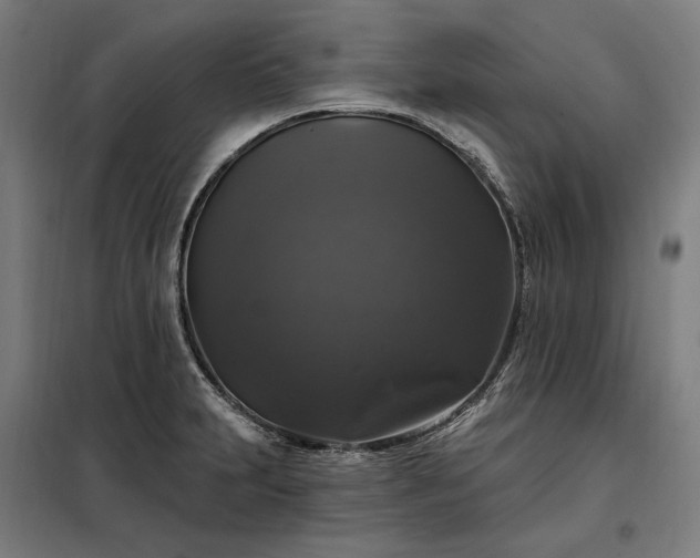 X0000097991231200804021001