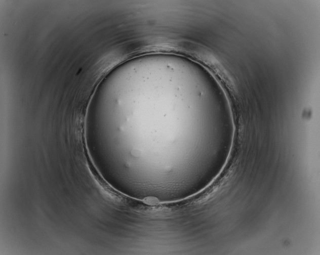 X0000097991233200804021001