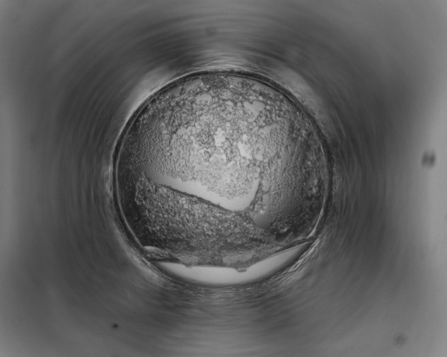 X0000097991234200804021001
