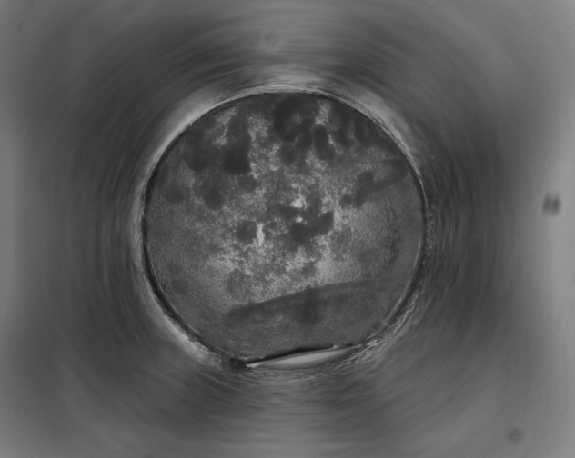 X0000097991235200804021001