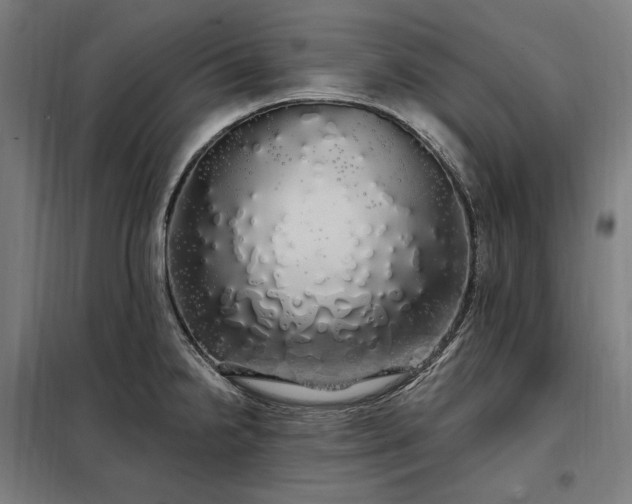 X0000097991238200804021001