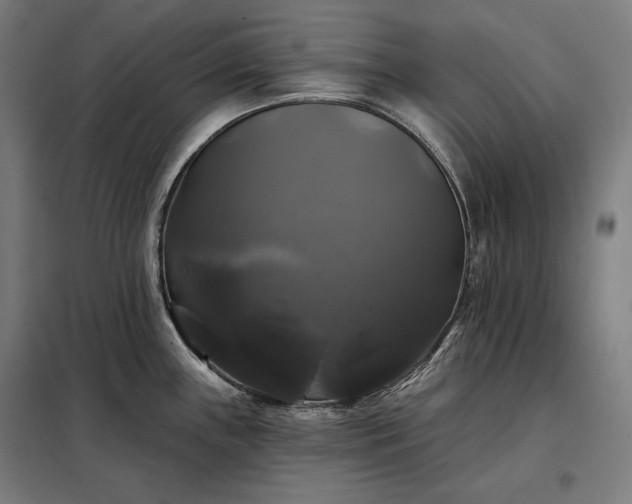 X0000097991243200804021001