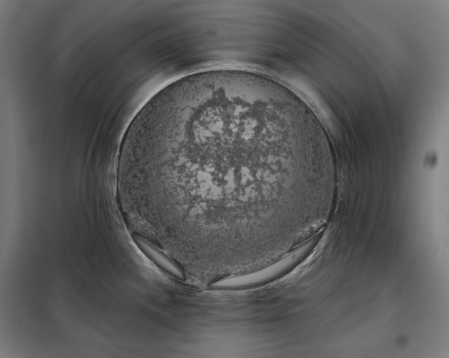 X0000097991244200804021001