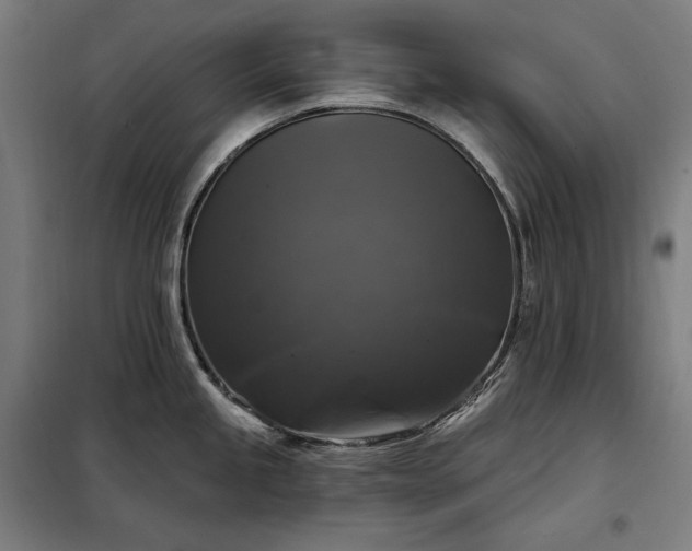 X0000097991245200804021001