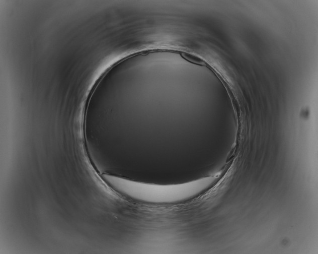 X0000097991246200804021001