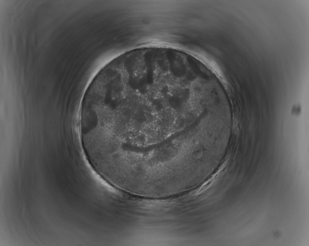 X0000097991247200804021001
