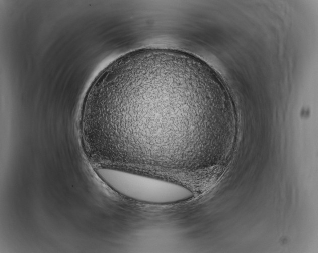 X0000097991248200804021001