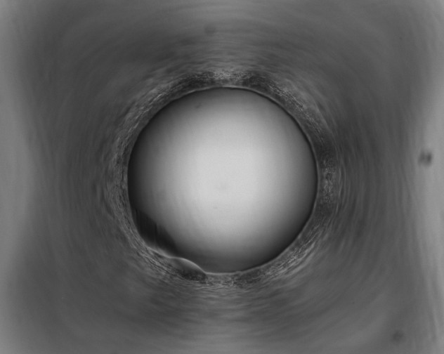 X0000097991249200804021001