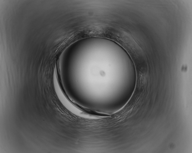 X0000097991250200804021001