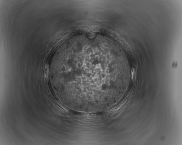 X0000097991251200804021001