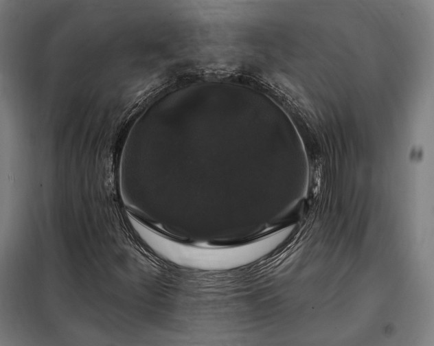 X0000097991252200804021001
