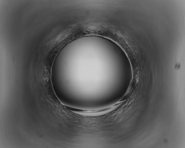 X0000097991253200804021001