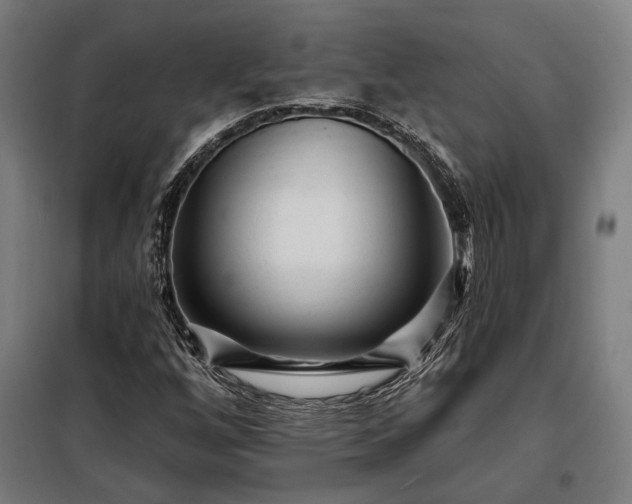 X0000097991256200804021001