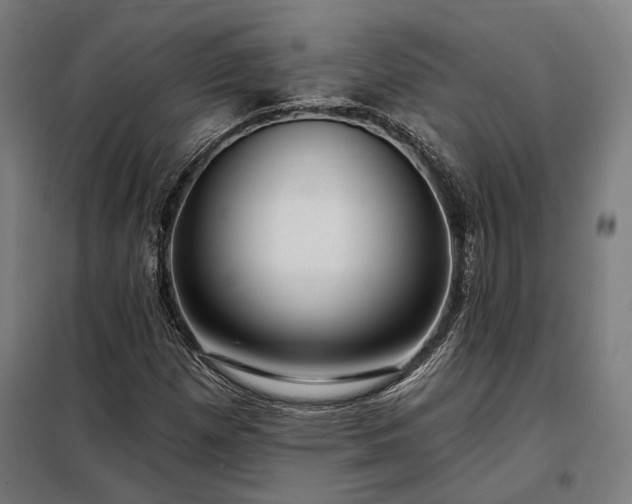 X0000097991257200804021001