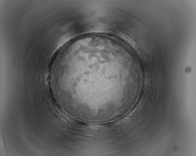 X0000097991258200804021000