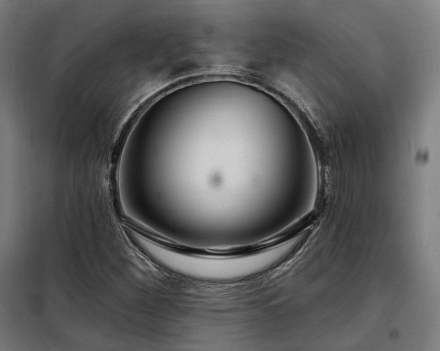 X0000097991260200804021000