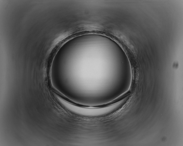 X0000097991261200804021000