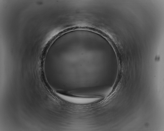 X0000097991263200804021000