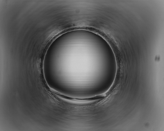 X0000097991265200804021000