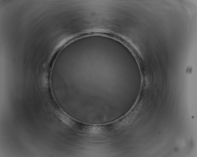 X0000097991266200804021000