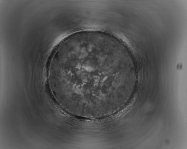 X0000097991267200804021000