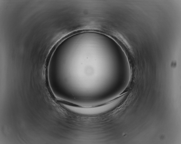 X0000097991268200804021000
