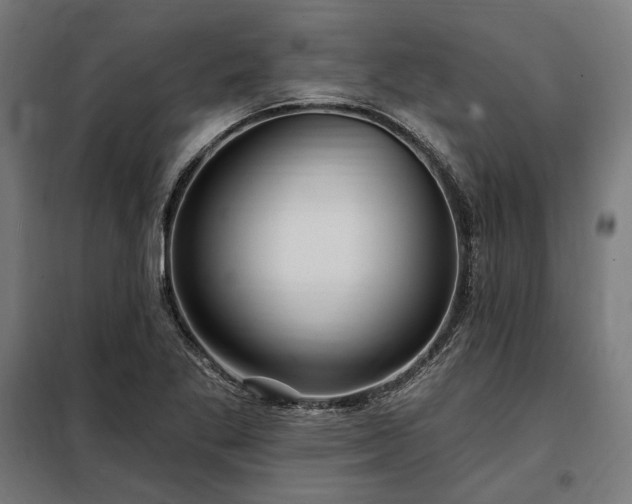 X0000097991269200804021000