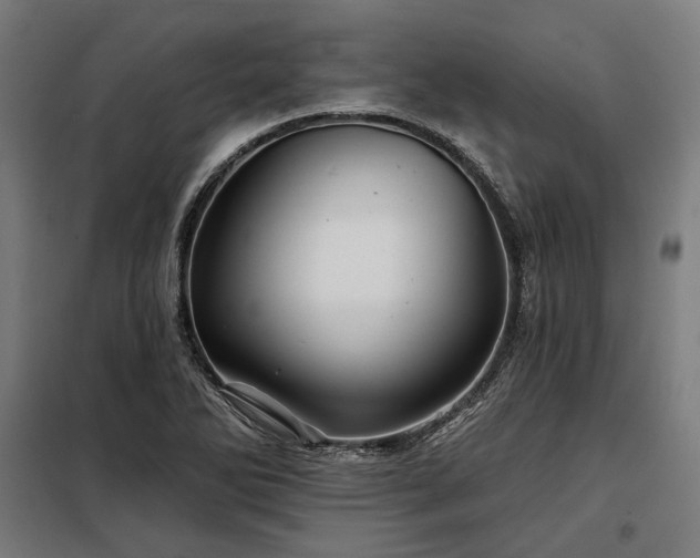 X0000097991270200804021000