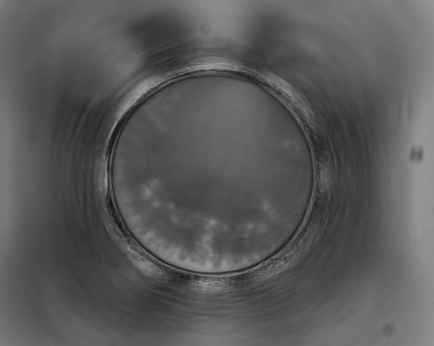 X0000097991274200804021000