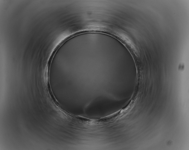 X0000097991275200804021000