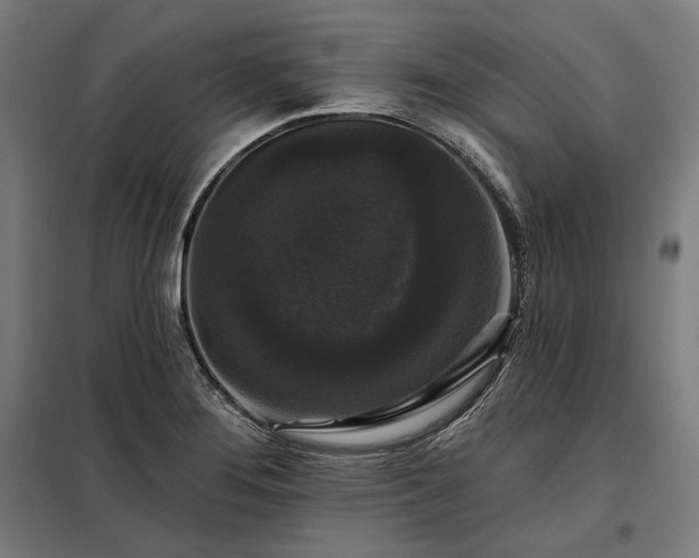 X0000097991276200804021000