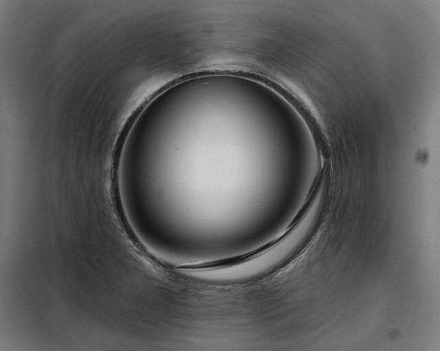 X0000097991277200804021000
