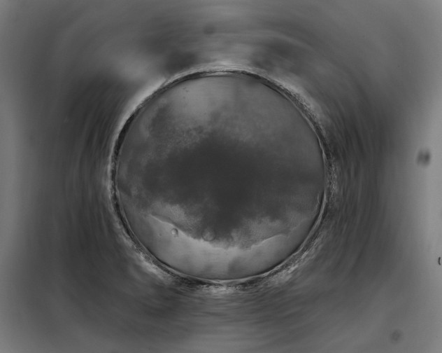 X0000097991278200804021000